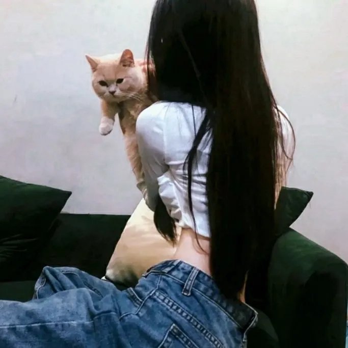 贼婆翻身记